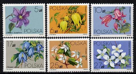 Poland 1984 Clematis set of 6 unmounted mint (SG 2921-26), stamps on flowers