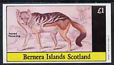 Bernera 1982 Wild Dog (Painted Thous Dog) imperf souvenir sheet (Â£1 value) unmounted mint, stamps on animals    dogs