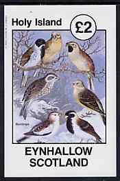 Eynhallow 1982 Buntings imperf deluxe sheet (Â£2 value) unmounted mint, stamps on birds   buntings