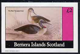 Bernera 1982 Water Birds (Great Throated Diver) imperf  deluxe sheet (Â£2 value) unmounted mint, stamps on birds     ducks