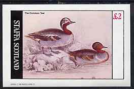 Staffa 1982 Common Teal imperf  deluxe sheet (Â£2 value) unmounted mint, stamps on birds     teals    ducks