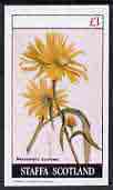 Staffa 1982 Flowers #17 (Maximillian's Sunflower) imperf  souvenir sheet (Â£1 value) unmounted mint, stamps on flowers