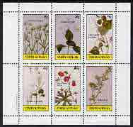 Staffa 1982 Flowers #19 (Nailwort, Collinson's Flower, Blue Bell, etc) perf set of 6 values (15p to 75p) unmounted mint, stamps on flowers