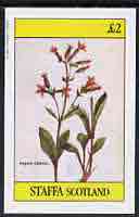 Staffa 1982 Flowers #19 (Virginia Catchfly) imperf deluxe sheet (Â£2 value) unmounted mint, stamps on flowers
