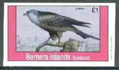 Bernera 1982 Birds #18 (Le Milan) imperf  souvenir sheet (Â£1 value) unmounted mint, stamps on birds