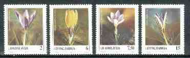 Yugoslavia 1991 Crocuses unmounted mint set of 4, SG 2683-86, stamps on flowers     crocuses