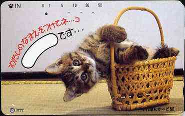 Telephone Card - Japan 50 units phone card showing Kitten falling out of Basket (card dated 1.4.1990), stamps on cats    