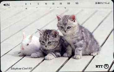 Telephone Card - Japan 105 units phone card showing two Kittens with Rabbit (card dated 1.2.1996), stamps on cats     rabbits