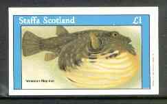 Staffa 1982 Fish #11 (Tetraodon hispidus) imperf souvenir sheet (Â£1 value)  unmounted mint, stamps on , stamps on  stamps on fish   