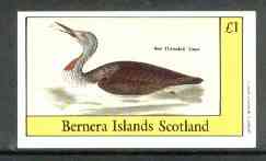 Bernera 1982 Birds #30 (Red Throated Diver) imperf souvenir sheet (Â£1 value) unmounted mint, stamps on birds   