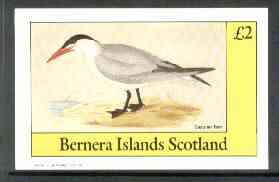 Bernera 1982 Birds #30 (Caspian Tern) imperf deluxe sheet (Â£2 value) unmounted mint, stamps on birds   