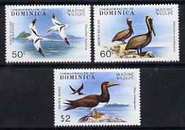 Dominica 1979 Tropic Bird 50c, Pelican 60c & Booby $2 unmounted mint from Marine Wildlife set of 6, SG 662, 663 & 665, stamps on , stamps on  stamps on birds, stamps on  stamps on tropic, stamps on  stamps on booby, stamps on  stamps on pelican