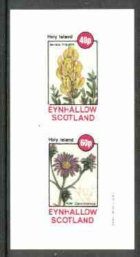 Eynhallow 1982 Flowers #12 (Genista & Aster) imperf set of 2 values unmounted mint, stamps on flowers