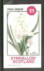 Eynhallow 1982 Flowers #12 (Scilla campanulata) imperf souvenir sheet (Â£1 value) unmounted mint, stamps on flowers