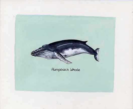 Bernera 1981 Marine Animals (Humpback Whale) original artwork by Sharon File of the B L Kearley Studio, watercolour on board 105 x 80 mm plus issued perf sheetlet incorpo..., stamps on whales, stamps on marine life