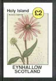 Eynhallow 1982 Flowers #13 (Rudbeckia asperrima) imperf deluxe sheet (Â£2 value) unmounted mint, stamps on flowers