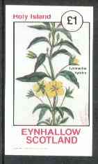Eynhallow 1982 Flowers #14 (Lysimachia hydrida) imperf souvenir sheet (Â£1 value) unmounted mint, stamps on flowers