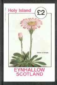 Eynhallow 1982 Flowers #14 (Gerberia crenata) imperf deluxe sheet (Â£2 value) unmounted mint, stamps on flowers