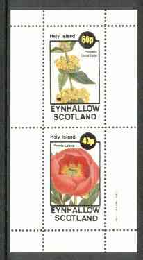Eynhallow 1982 Flowers #15 (Phlomis & Peonia) perf set of 2 values unmounted mint, stamps on flowers