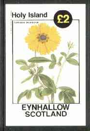 Eynhallow 1982 Flowers #15 (Calliopsis drummondii) imperf deluxe sheet (Â£2 value) unmounted mint, stamps on flowers