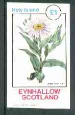 Eynhallow 1982 Flowers #18 (Aster sibiricus) imperf souvenir sheet (Â£1 value) unmounted mint, stamps on flowers