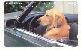 Telephone Card - Japan 105 units phone card showing Golden Retriever in Drivers Seat of Car (card number 331-447), stamps on dogs   
