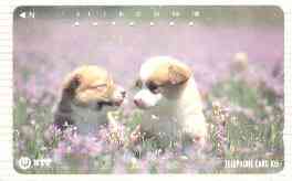 Telephone Card - Japan 105 units phone card showing two Puppies in Field of Purple Flowers (card number 111-059), stamps on dogs   