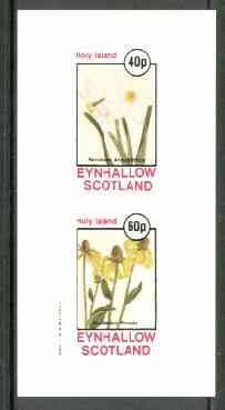Eynhallow 1982 Flowers #19 (Narcissus & Rudbeckia) imperf set of 2 values unmounted mint, stamps on flowers