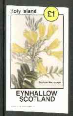 Eynhallow 1982 Flowers #20 (Sophora macrocarpa) imperf souvenir sheet (Â£1 value) unmounted mint, stamps on flowers