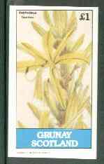 Grunay 1982 Flowers #07 (Asphodelus tauricus) imperf souvenir sheet (Â£1 value) unmounted mint, stamps on flowers