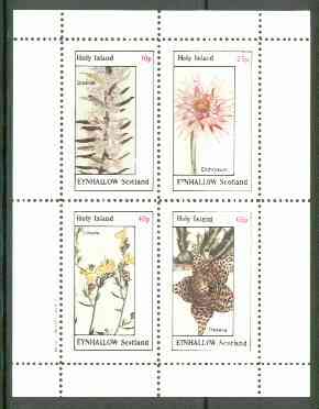 Eynhallow 1982 Flowers #22 (Diosma, Elichrysum, Linaria & Stapelia) perf set of 4 values unmounted mint, stamps on flowers
