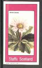 Staffa 1982 Flowers #27 (Arnica crenata) imperf souvenir sheet (Â£1 value) unmounted mint, stamps on flowers    