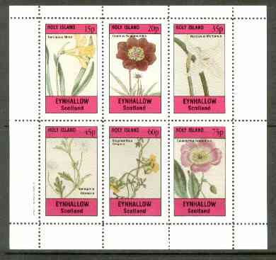 Eynhallow 1982 Flowers #24 (Narcissus x 2, Cosmus, Nemophila, Scyphanthus & Calandrinia) perf set of 6 values unmounted mint, stamps on flowers