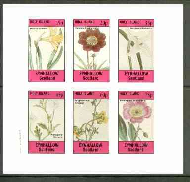 Eynhallow 1982 Flowers #24 (Narcissus x 2, Cosmus, Nemophila, Scyphanthus & Calandrinia) imperf set of 6 values unmounted mint, stamps on flowers