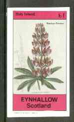 Eynhallow 1982 Flowers #24 (Stachys corsica) imperf souvenir sheet (Â£1 value) unmounted mint, stamps on , stamps on  stamps on flowers