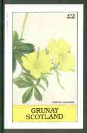 Grunay 1982 Flowers #10 (Potentilla lupinoides) imperf deluxe sheet (Â£2 value) unmounted mint, stamps on flowers