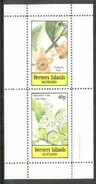 Bernera 1982 Flowers #19 (Guatteria & Vaccineum) perf  set of 2 values (40p & 60p) unmounted mint, stamps on flowers