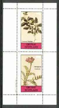 Grunay 1982 Flowers #11 (Limonia & Astragalus) perf set of 2 (40p & 60p) unmounted mint, stamps on flowers