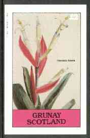 Grunay 1982 Flowers #11 (Tillandsia) imperf deluxe sheet (Â£2 value) unmounted mint, stamps on flowers