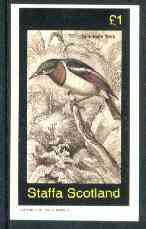 Staffa 1982 Birds #62 (Spectacle Tody) imperf souvenir sheet (Â£1 value) unmounted mint, stamps on birds      
