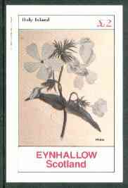 Eynhallow 1982 Flowers #25 (Phlox) imperf deluxe sheet (Â£2 value) unmounted mint, stamps on flowers