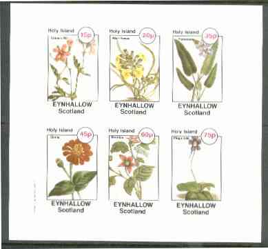 Eynhallow 1982 Flowers #27 (Crane's Bill, Wall-Flower, Pontederia, Zinnia, Bramble & Pinguicula) imperf set of 6 values unmounted mint, stamps on , stamps on  stamps on flowers