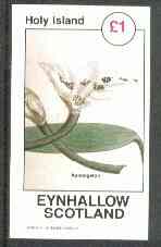 Eynhallow 1982 Flowers #27 (Aponogeton) imperf souvenir sheetr (Â£1 value) unmounted mint, stamps on flowers