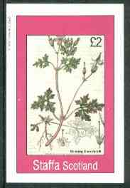 Staffa 1982 Flowers #28 (Stinkinmg Cranesbill) imperf deluxe sheet (Â£2 value) unmounted mint, stamps on flowers    