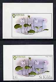 St Kilda 1969 Flowers 1s6d (Bog Violet) imperf single with grey omitted (St Kilda, imprint & value) plus imperf normal unmounted mint, stamps on flowers        