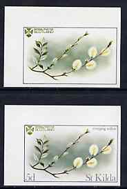 St Kilda 1969 Flowers 5d (Creeping Willow) imperf single with grey omitted (St Kilda, imprint & value) plus imperf normal unmounted mint, stamps on flowers