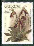 Guyana 1985-89 Orchids Series 2 plate 01 (Sanders' Reichenbachia) 560c unmounted mint, SG 2178*, stamps on orchids, stamps on flowers