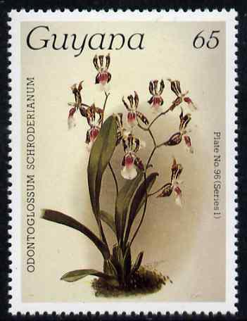 Guyana 1985-89 Orchids Series 1 plate 96 (Sanders Reichenbachia) 65c unmounted mint, unlisted by SG without surcharge*, stamps on orchids, stamps on flowers
