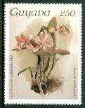Guyana 1985-89 Orchids Series 2 plate 40 (Sanders' Reichenbachia) 250c unmounted mint, value unlisted by SG*, stamps on , stamps on  stamps on orchids, stamps on  stamps on flowers