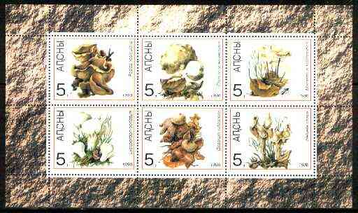 Abkhazia 1998 Mushrooms sheetlet containing complete set of 6 values unmounted mint, stamps on fungi